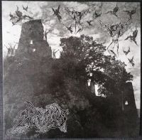 DRENGSKAPUR (Ger) / OLD ARRIVAL (Ger) - Ruin, Split LP